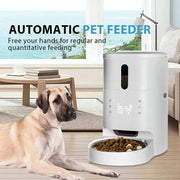 Automatic 3L Wi-Fi pet feeder dispensing food for a large dog in a modern living room, perfect for scheduled feeding.